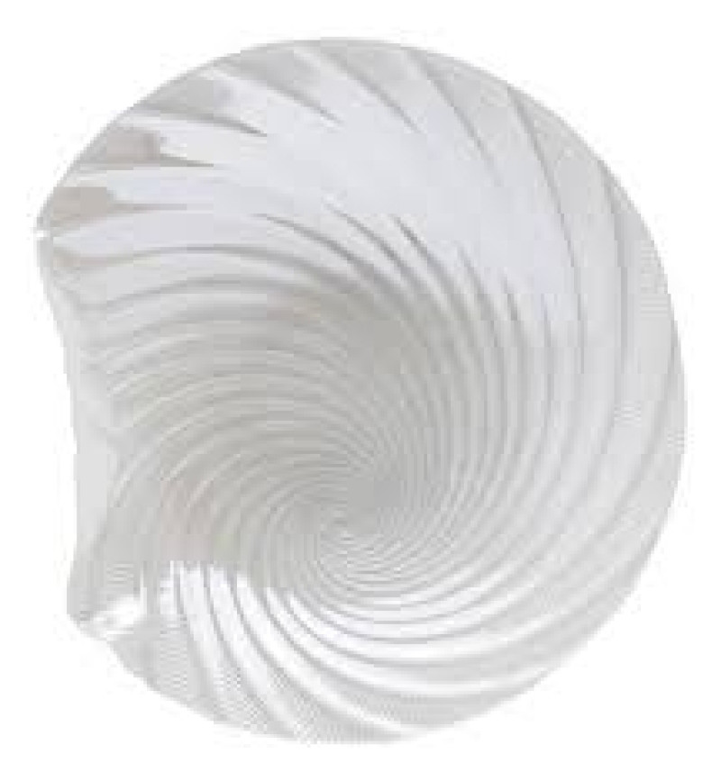 CENTRO DE MESA DECORATIVO VIDRO CONCHA PEROLADA 40X10 WOLFF